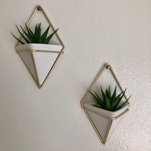 Faux succulent wall hangings